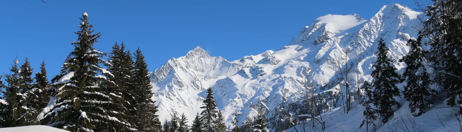 Discover Our Services